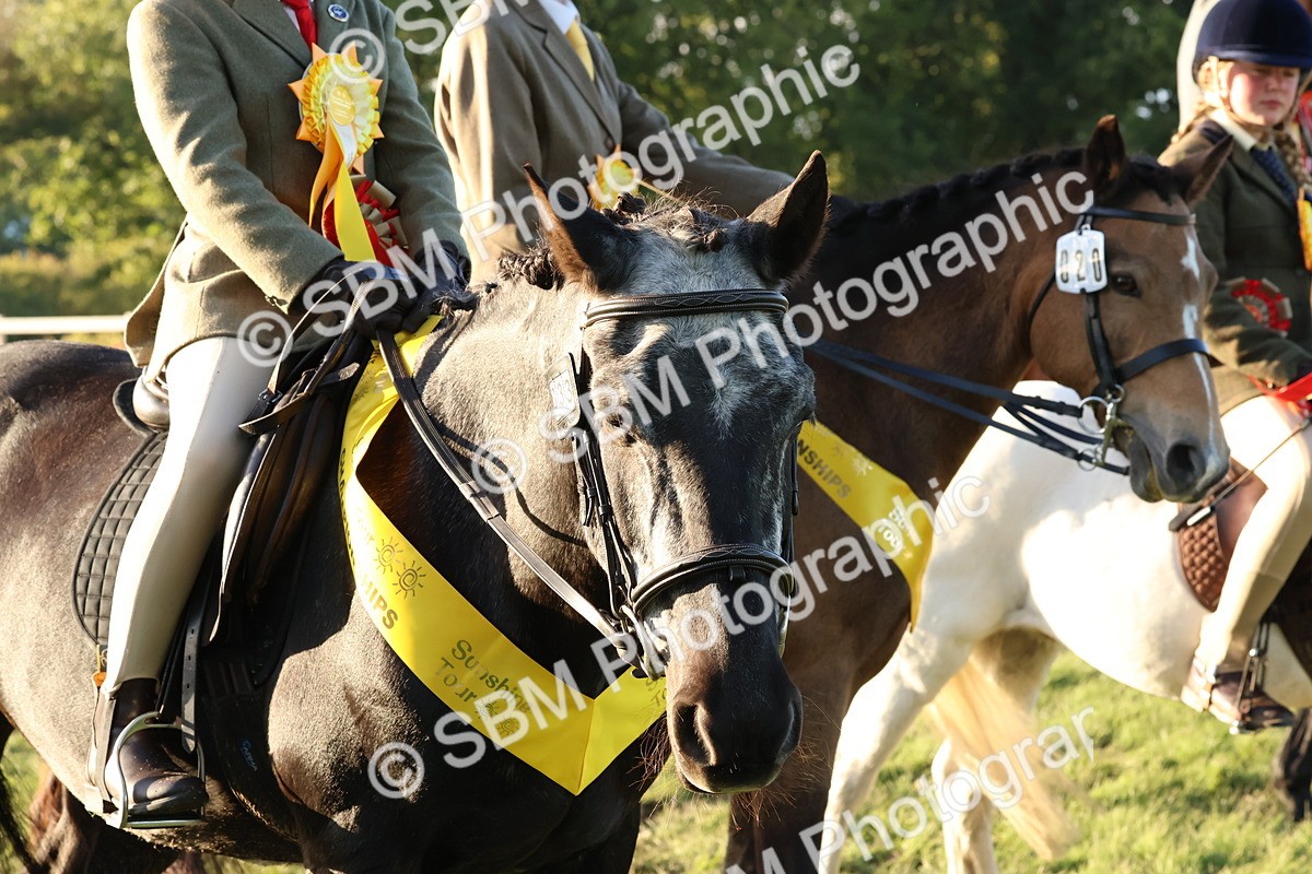 SBM_53179 - Veteran Supreme Championship