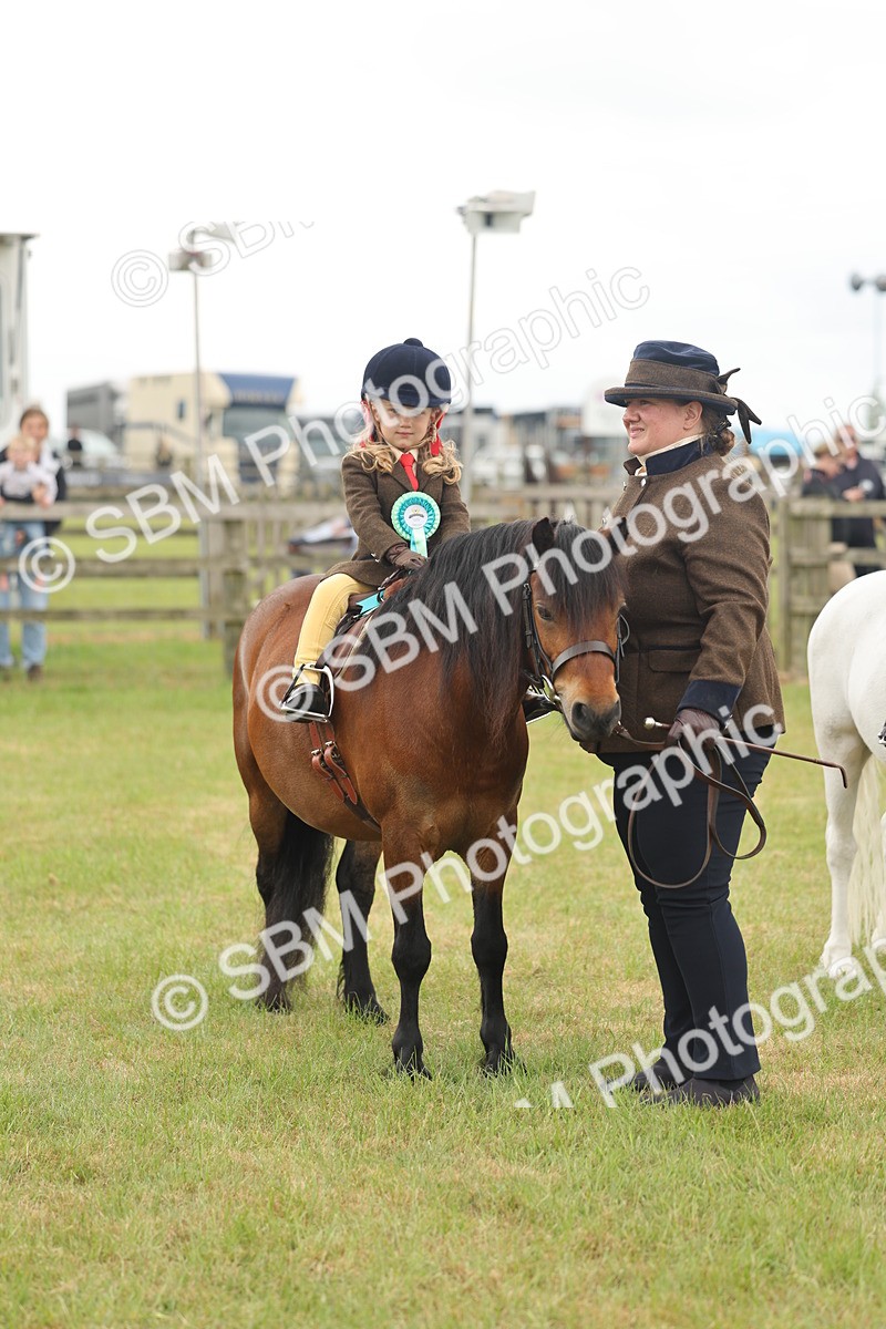 SBM_06823 - Class 74-75 - M&M Lead Rein and First Ridden Pony