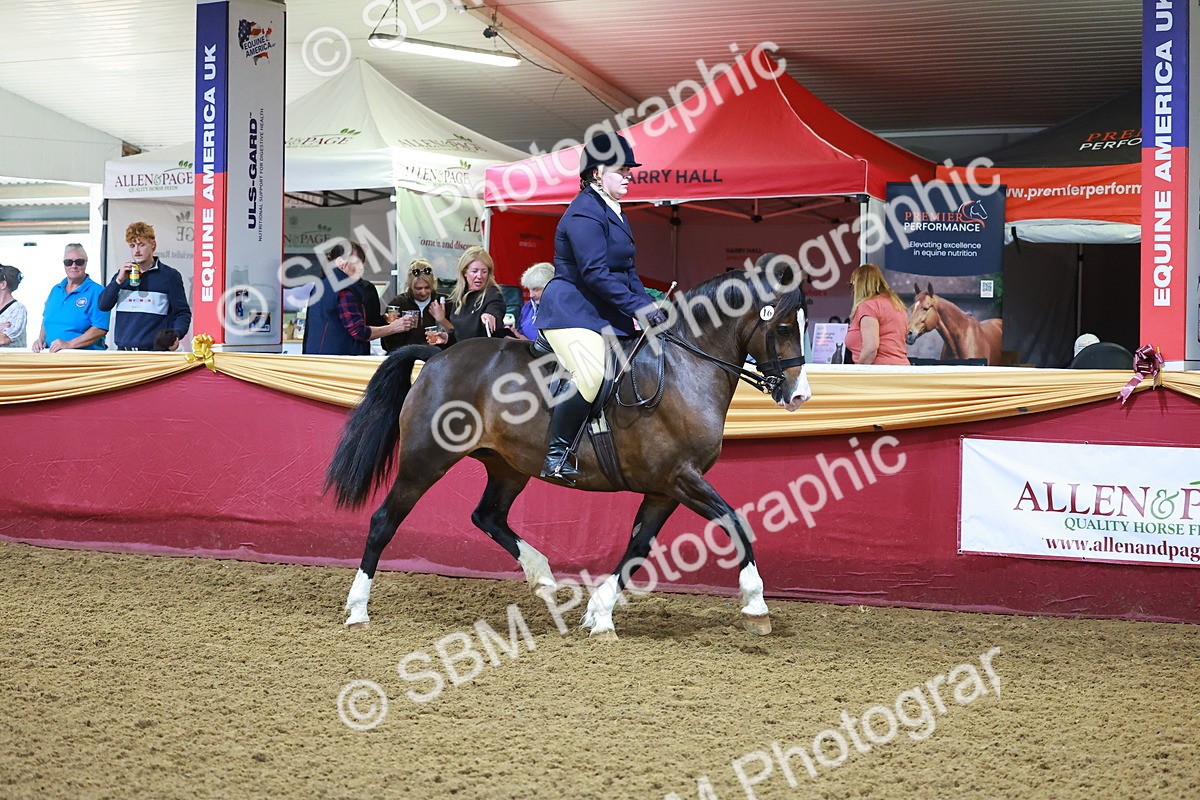 SBM_14709 - Class C - Novelty champ