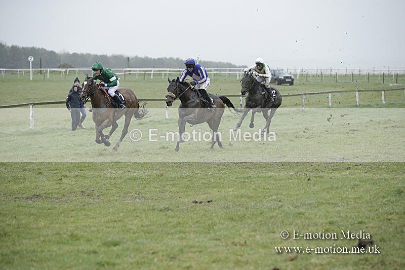 PtP 150320 0169 - New Forest Point-to-Point Larkhill 15/03/20