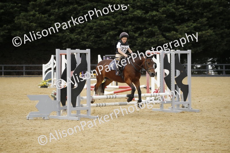 20250622-5999 - 60cm