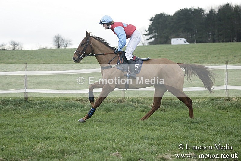 PtP 031217 361 - Hursley Hambledon Point-to-Point Larkhill 03/12/17