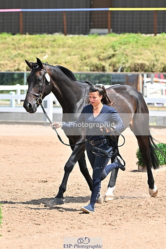 240718A-105316-01775 - Trot Up 1pm to 2pm