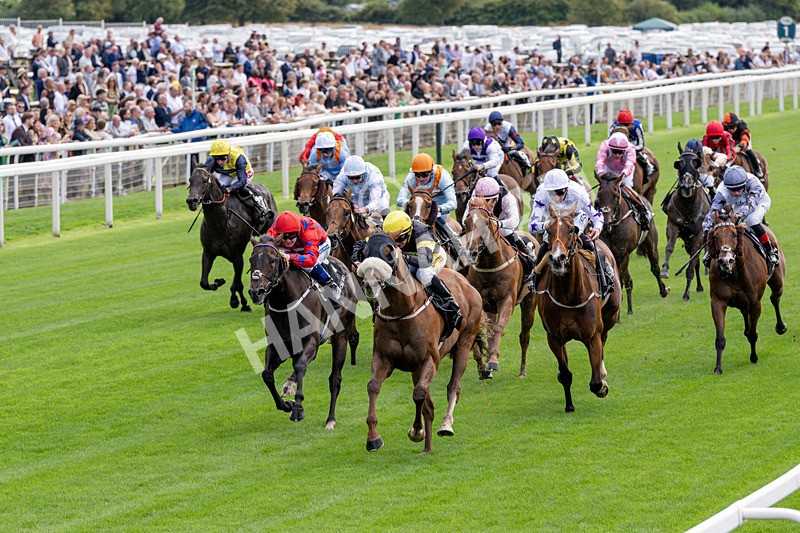 190826-Race 1-Air Force One-0134 - Race 1 13.50pm Hong Kong Jockey Club World Pool Handicap