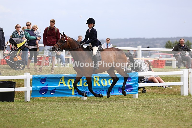 3E7A0997 - Class 8: Open Riding Horse/Hack