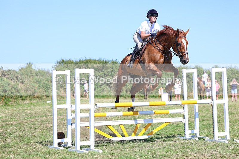 3E7A6448 - Class 13: Senior Newcomers/1.10m open