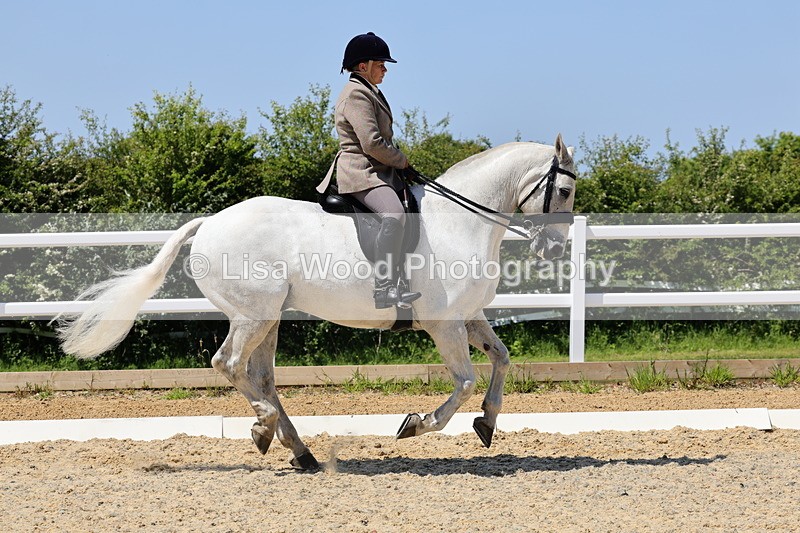 1X9A1735 - Class 11: Ridden Cob