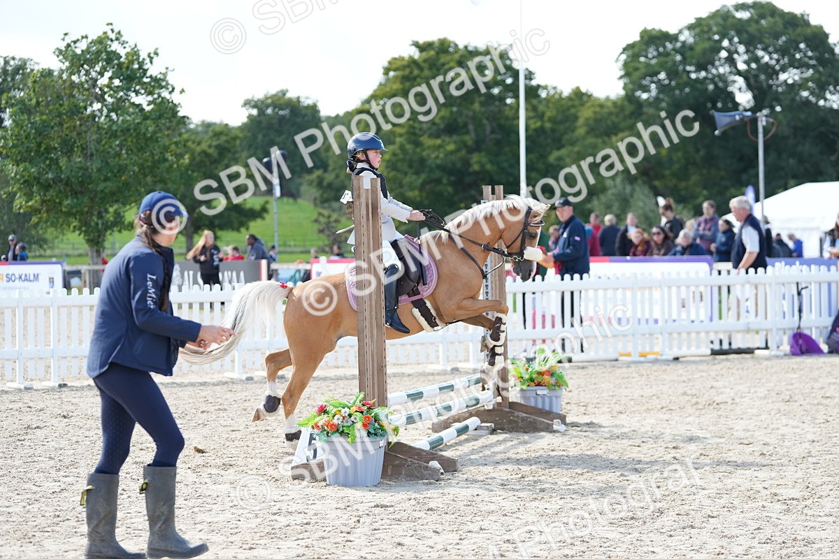 SBM_18160 - J58 - Clear Round 50cm