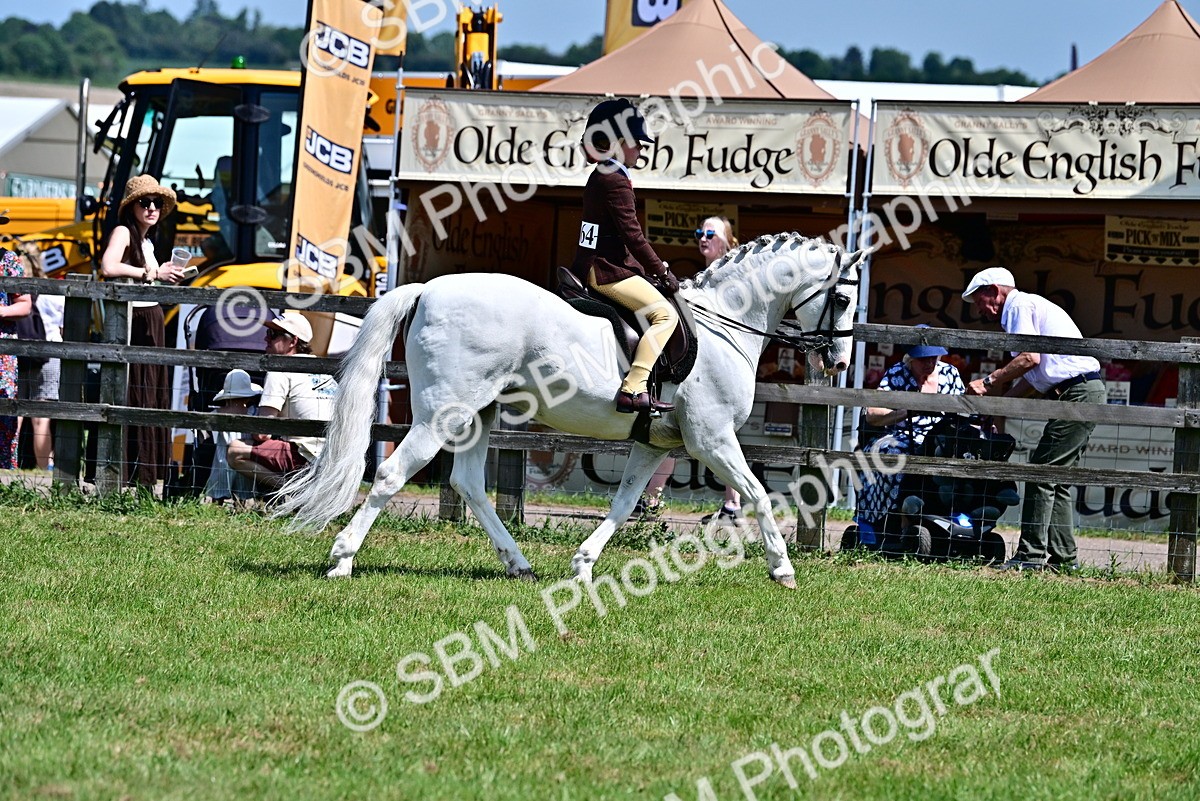 SBM_15307 - Class 95-97 - BSPS LHS Performance Ponies
