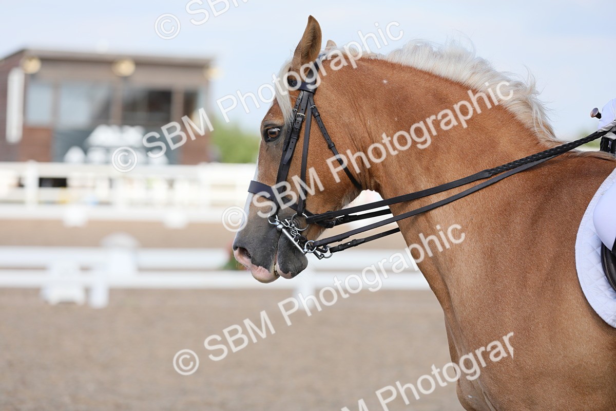 SBM_07690 - Class 33 Elementary 1