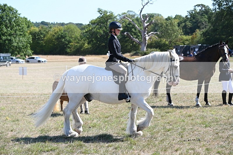 WJ6_8270 - Class 37a Best Loan Pony Ridden