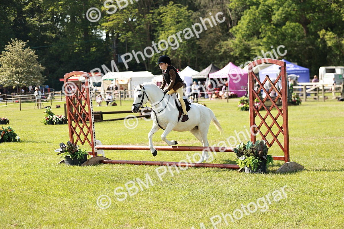 SBM_12611 - Class 106-107 - BSPS LIHS Working Sports Pony