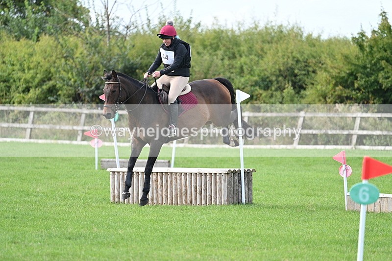 WJ7_8354 - 60cm Pairs