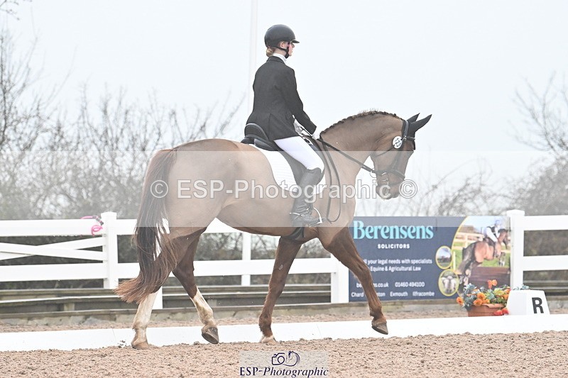 240217A-095130-00459 - 123-Daisy.Hedges-Felicia.v