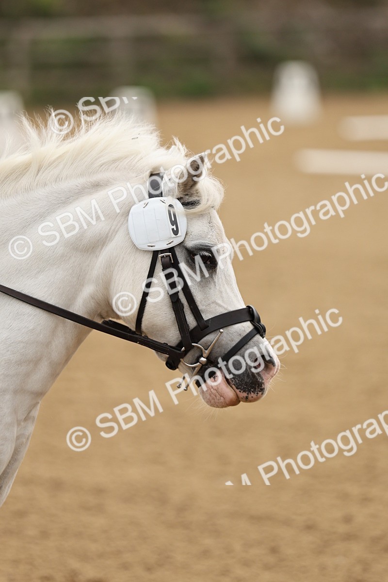 SBM_002105 - Intro 1-2