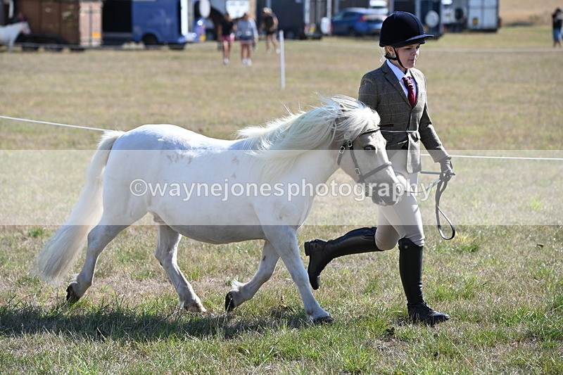 WJ6_4197 - Class 16 Condition & Turn Out