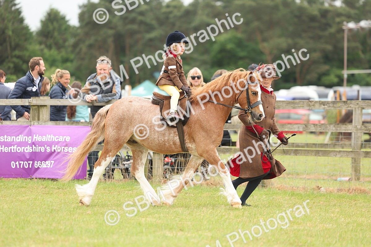 SBM_06729 - Class 74-75 - M&M Lead Rein and First Ridden Pony