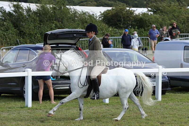 1X9A5715 - Class 40: NPS Welsh A & B