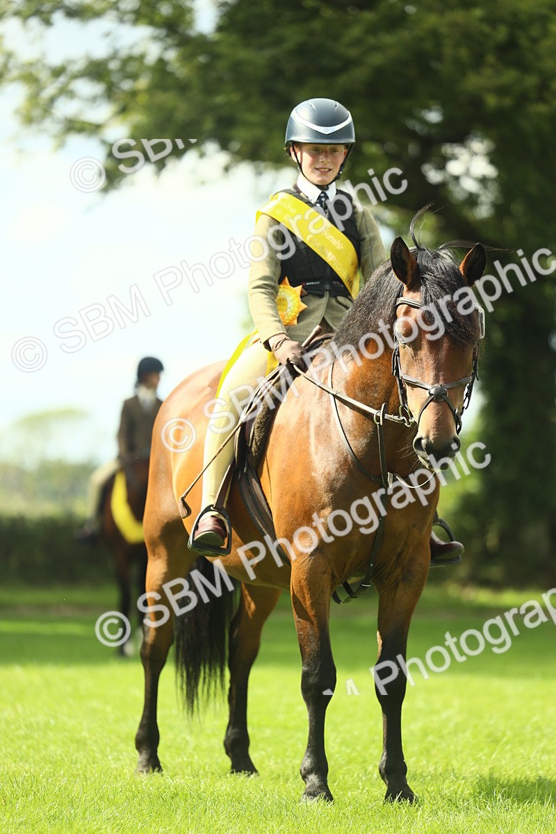 SBM_44961 - Working Hunter Pony Supreme Championship