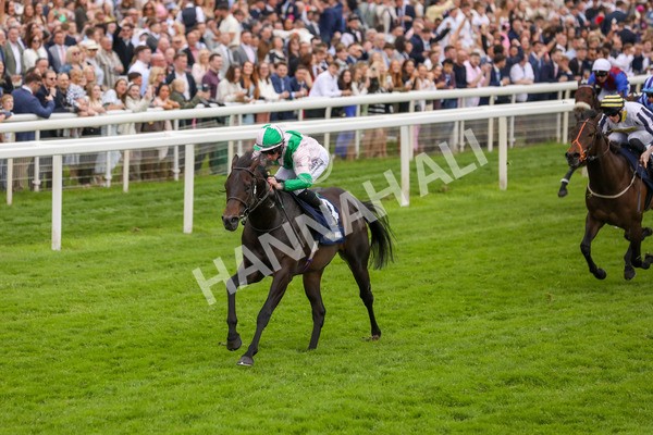 250524-Race 3-Starlust-3079 - Race 3 2.45pm William Hill Extra Place Races Daily Handicap