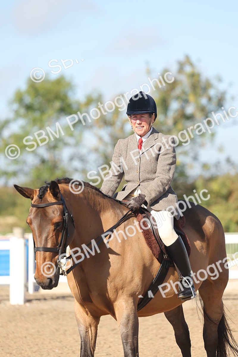 SBM_22316 - Class 803 - Ridden Combination 65+