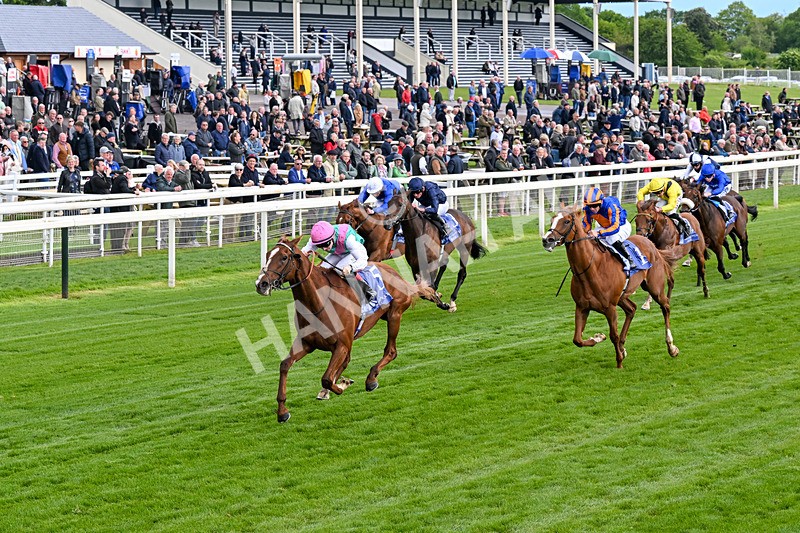 140526-Race 5-Item-0273 - Race 5 4.05pm Al Basti Equiworld Dubai Dante Stakes