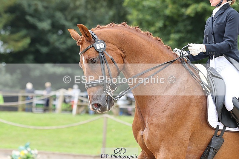 240810-132954-03321 - 188-Amanda.Towle.Shaw-Rockwood.Virtue