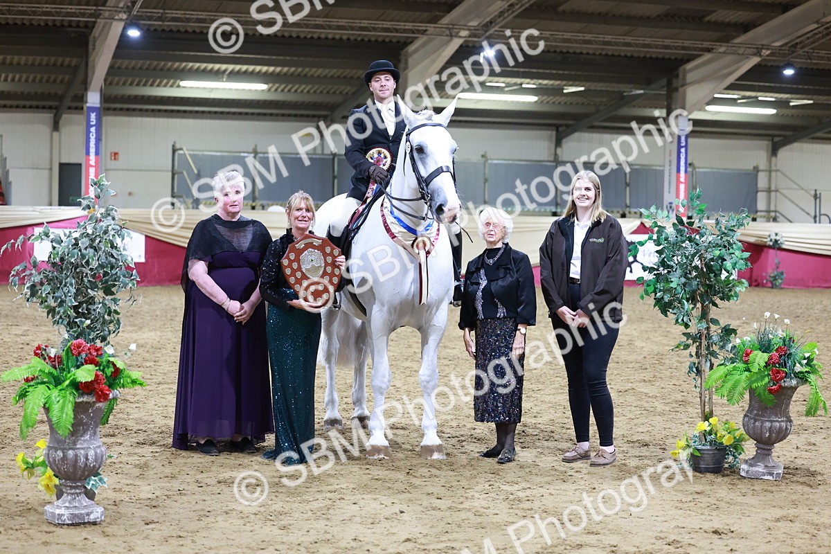 SBM_21161 - class Q - Ridden Horse Champ