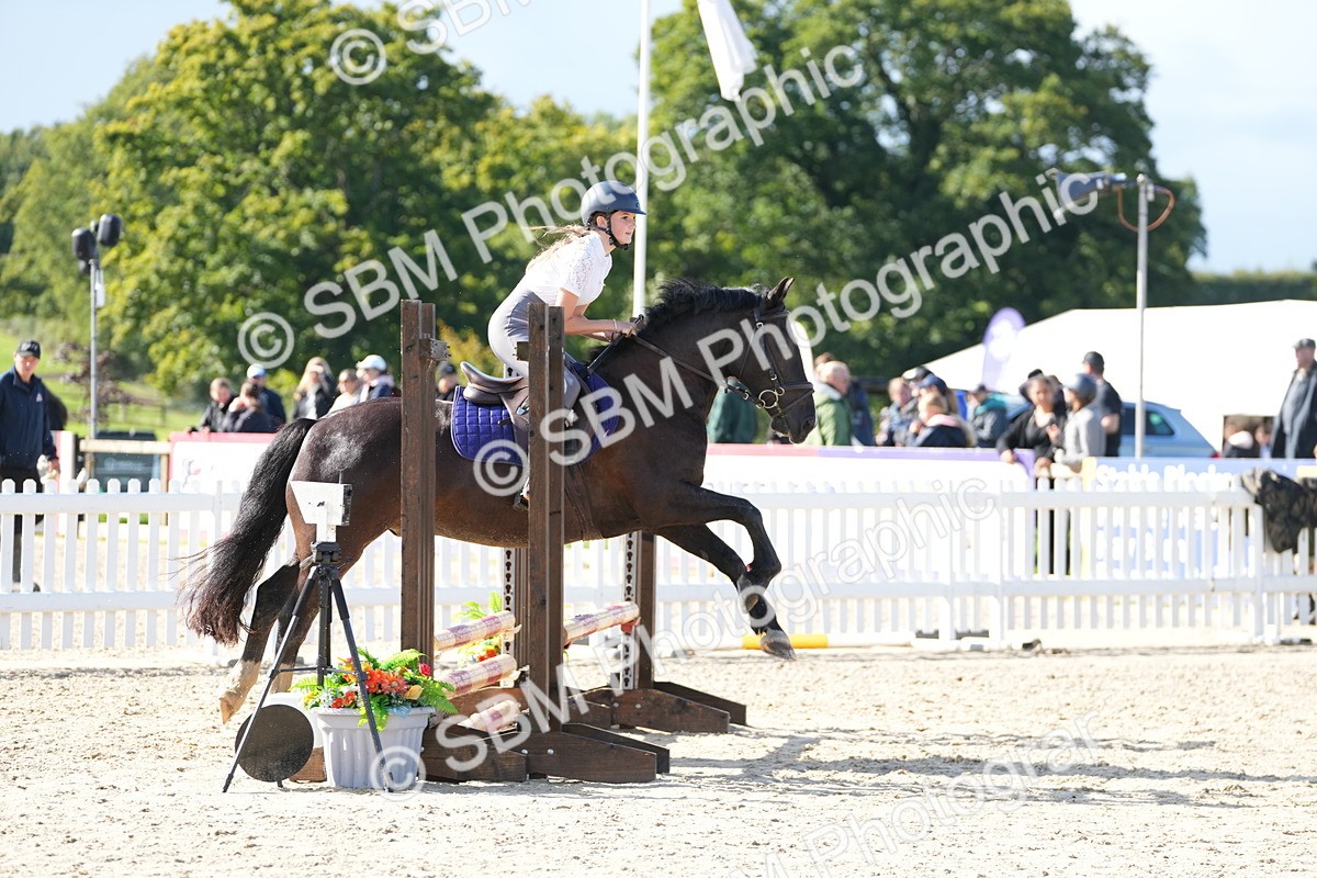 SBM_38205 - J6 - Junior Pony 55cm Championship