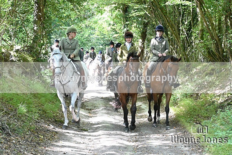 WJ7_0401 - Berks & Bucks - Hound Exercise – Kennels 06-09-26