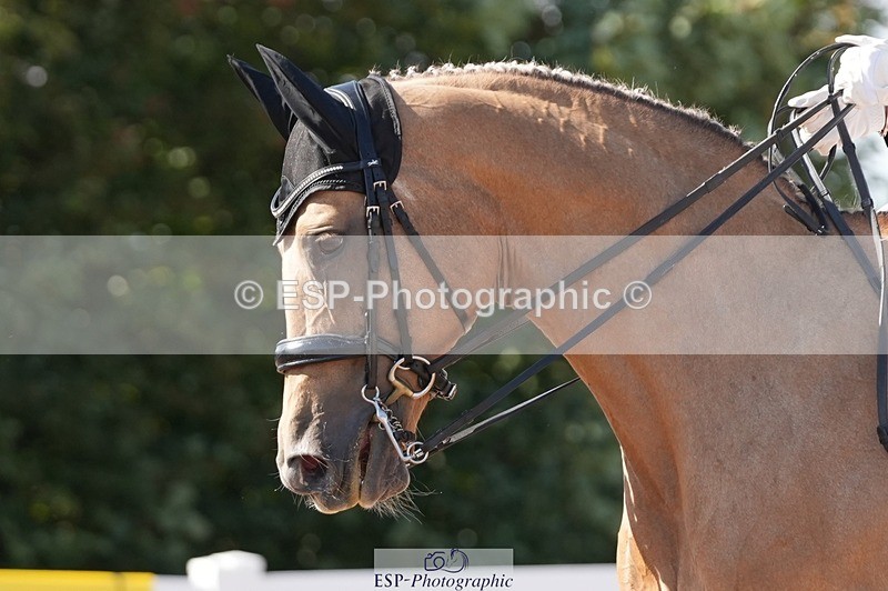 250906-154523-04859 - 054-Amy.Louise.LloydDiva.Royale