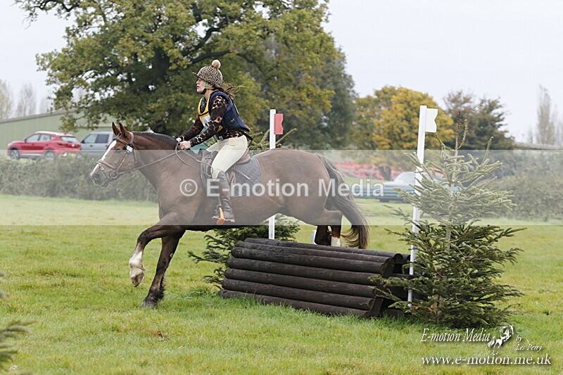 WWHT 181020 WWHT 181020 498 - WWEC Open Novice (0.80m) 18/10/20