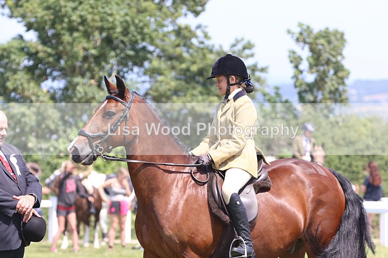 JPP_2982 - Class 22: Working Hunter 70cm