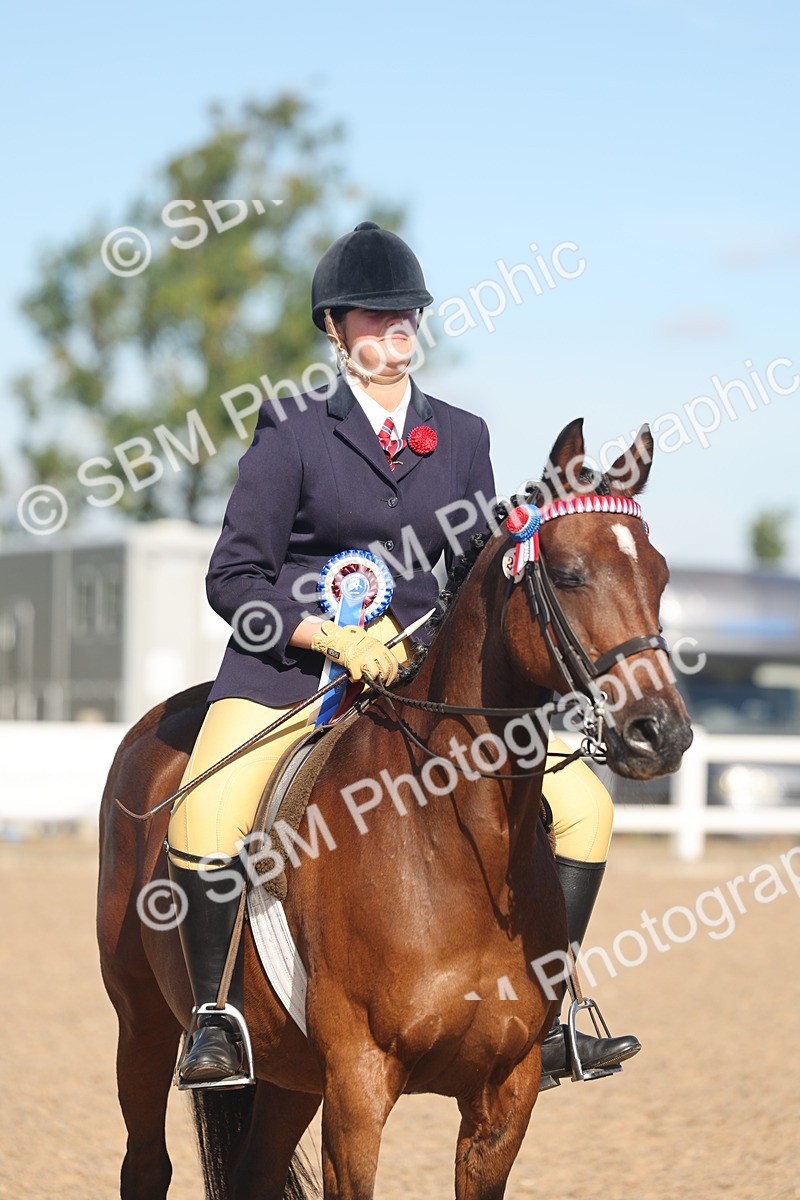 SBM_12416 - Class 304 - Ridden part Bred Horse Pony
