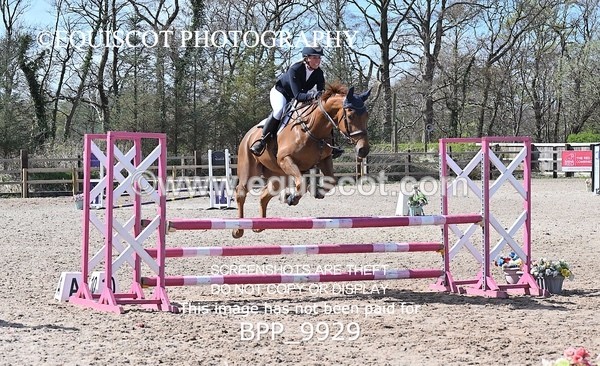 BPP_9929 - CLASS 19 SUN Senior British Novice/ 90cm Open