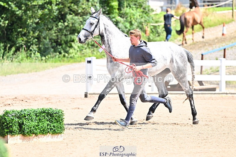 240718A-105238-00956 - Trot Up 11am to 12pm