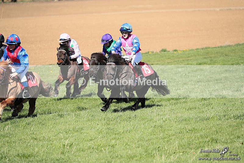Shet 060426 280 - Shetland Pony Racing Paxford Races Easter Mon 06/04/26
