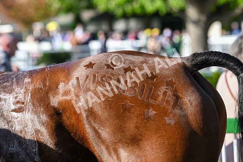 030525-Race 8-Visibility-3828 - Race 8