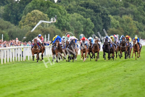 260823-Race 4-Absurde-0881 - Race 4 Sky Bet Ebor Handicap