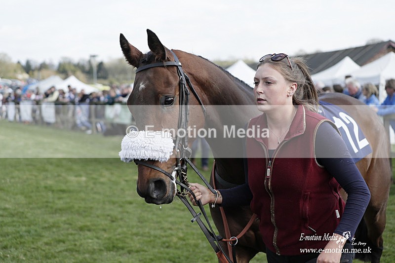 PtP 080423 477 - Dingley Races The Woodland Pytchley Hunt PtP 08/04/23