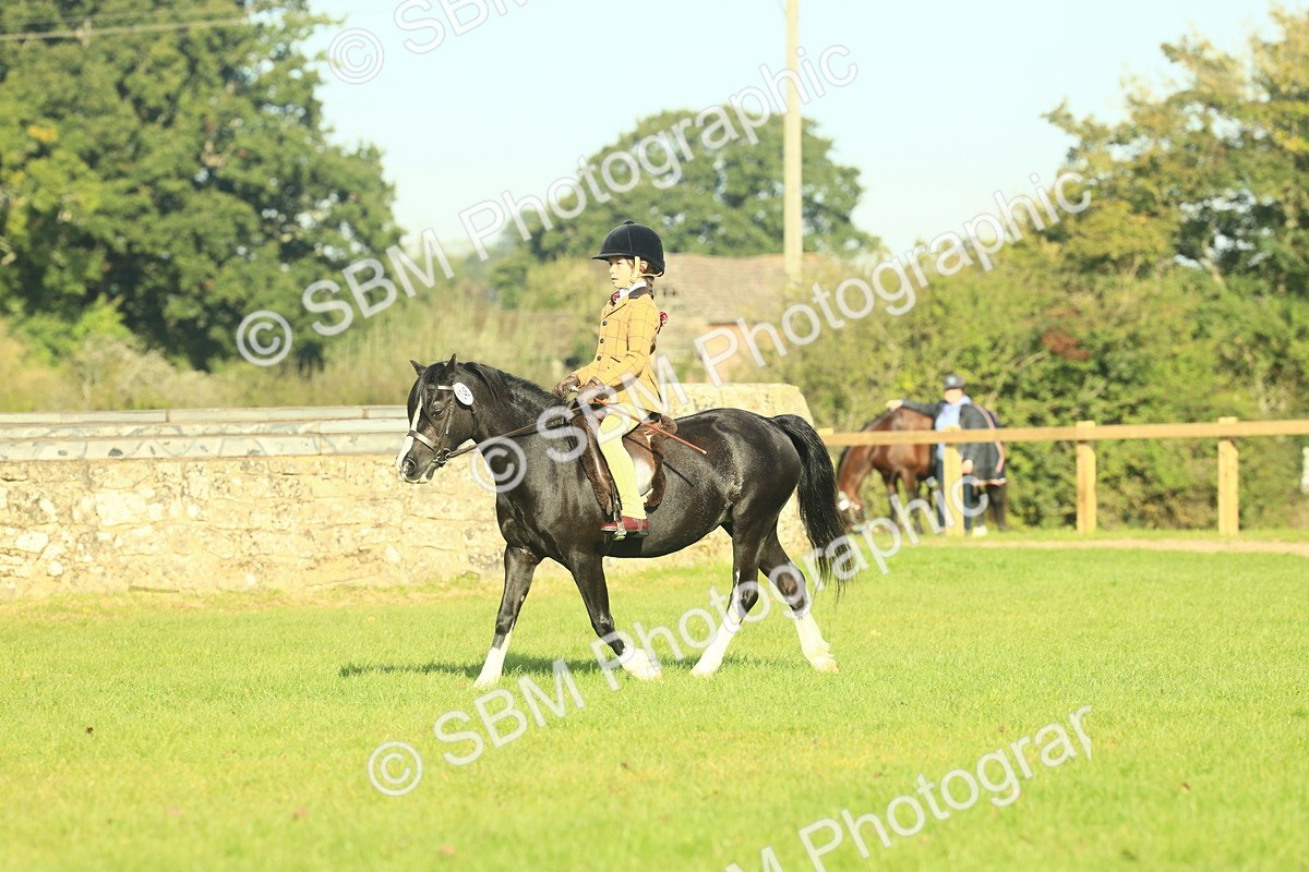 SBM_59181 - S38 - Starters Ridden Showing