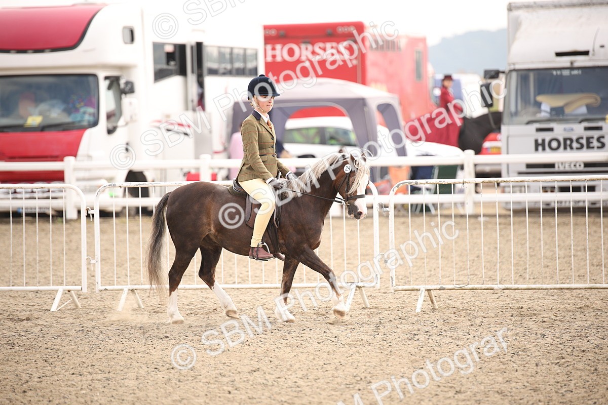 SBM_11696 - Class 404b Junior Working Veteran- 40cm(20+)