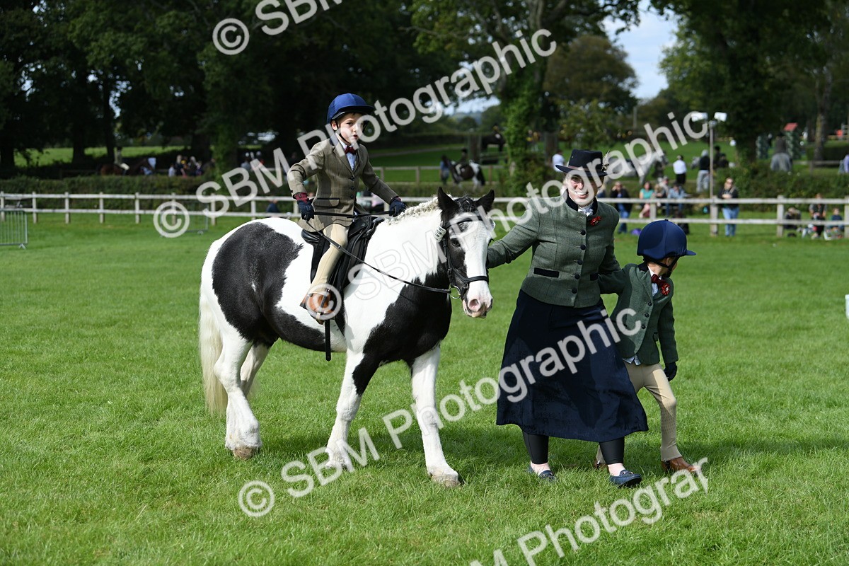 SBM_47011 - S12 - Family Horse & Pony