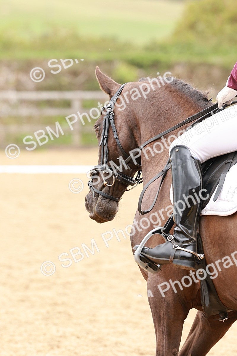 SBM_001710 - Novice 1