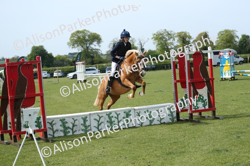 20260426-1748 - Class 14 - Novice 60cm