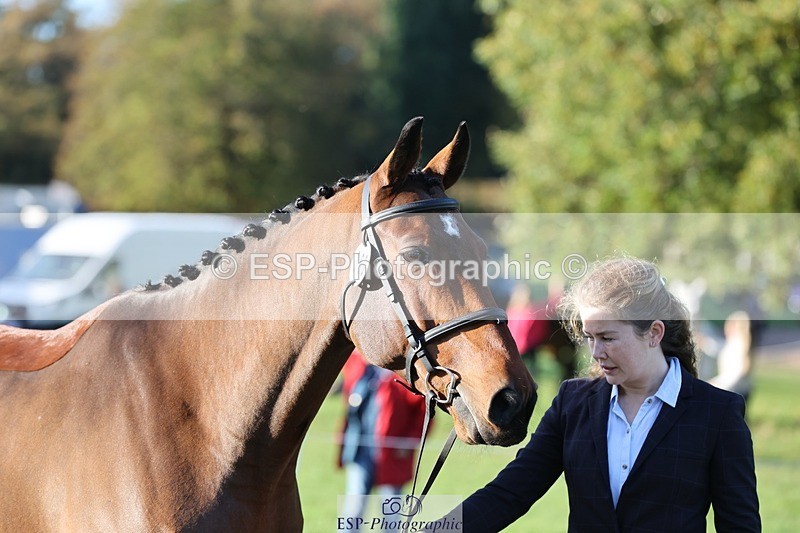 241027-091504-15156 - 360-Annalise.Olson-ROSS.DUFF.REILLY