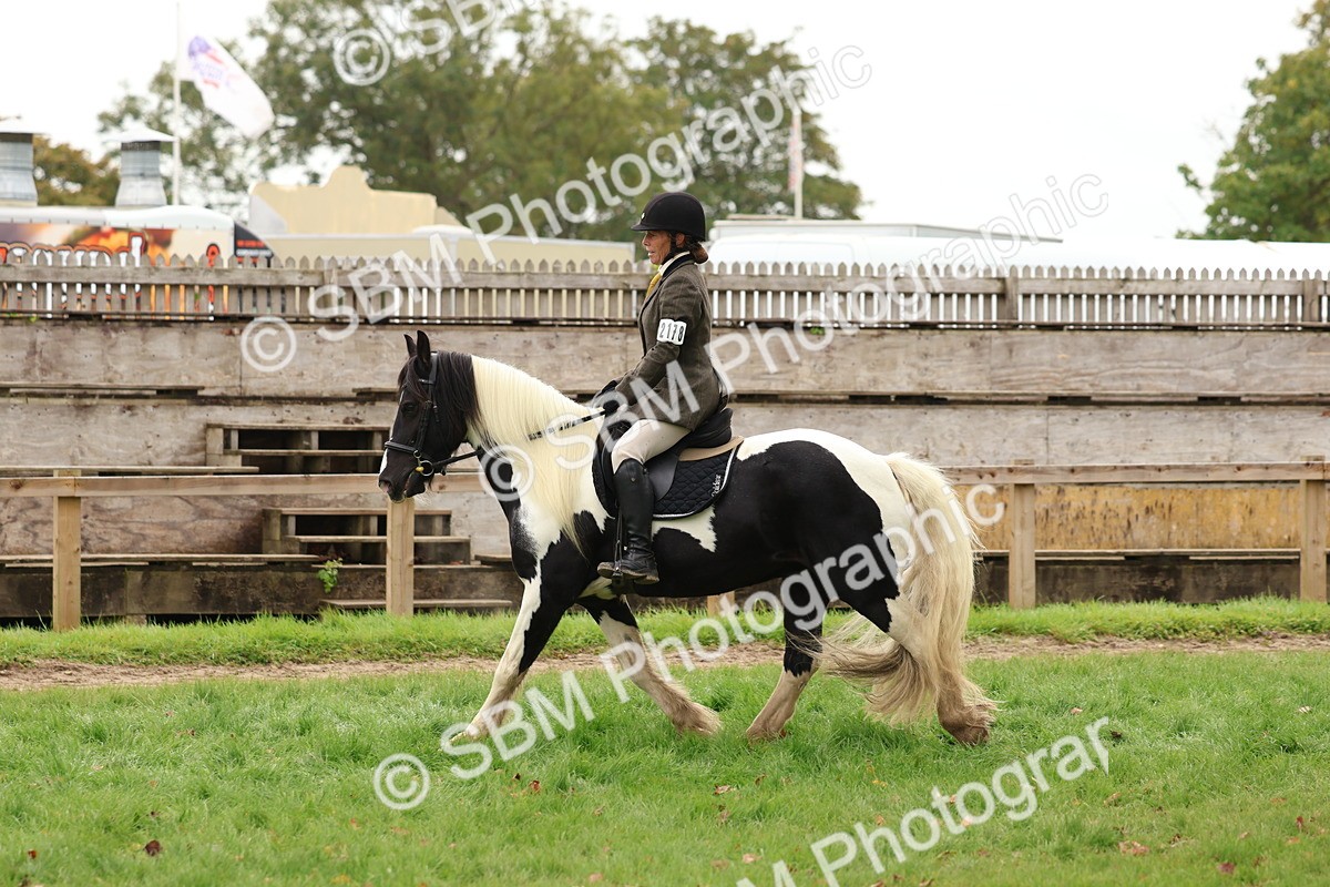 SBM_59925 - S36 - Rehabiliated Rescue Horse & Pony In Hand & Ridden