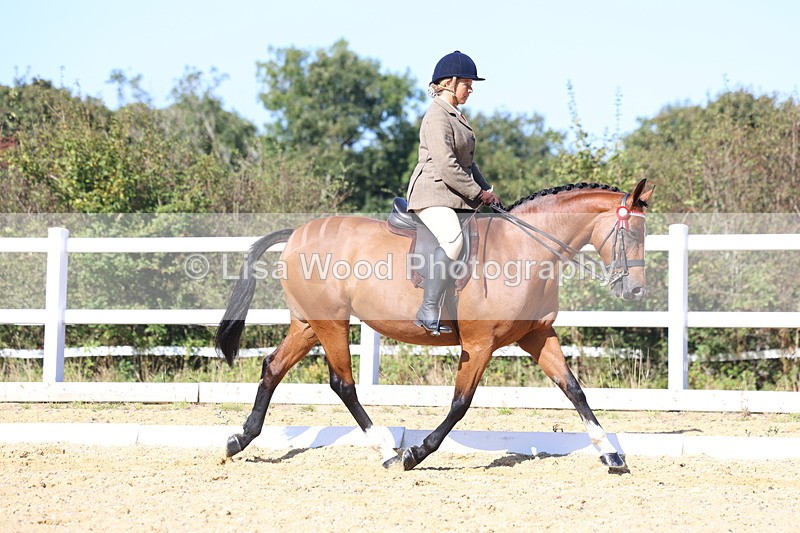 3E7A5693 - Class 10: Riding Horse