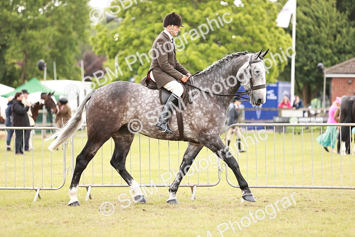 SBM_10913 - Class 81-84 - RIHS Ridden hunters Inc Ladies Hunter