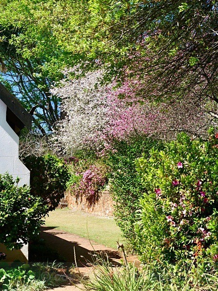 St Paul's United Church, Haenertsburg - NEW GALLERY AS A SOUTH AFRICAN RESIDENT